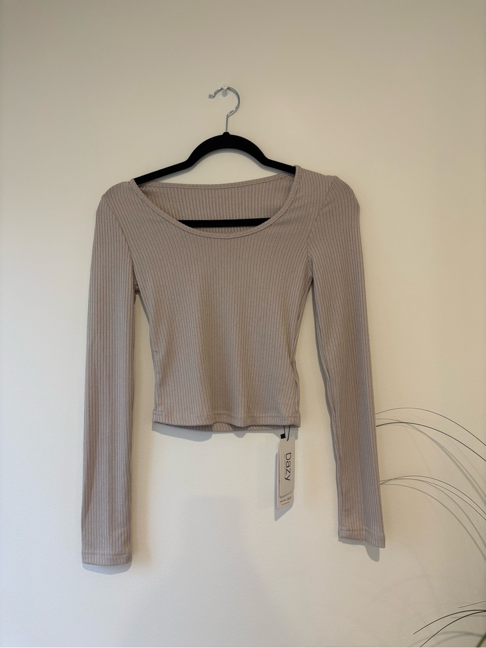 Ribbed Long-Sleeve Crop Top in Taupe